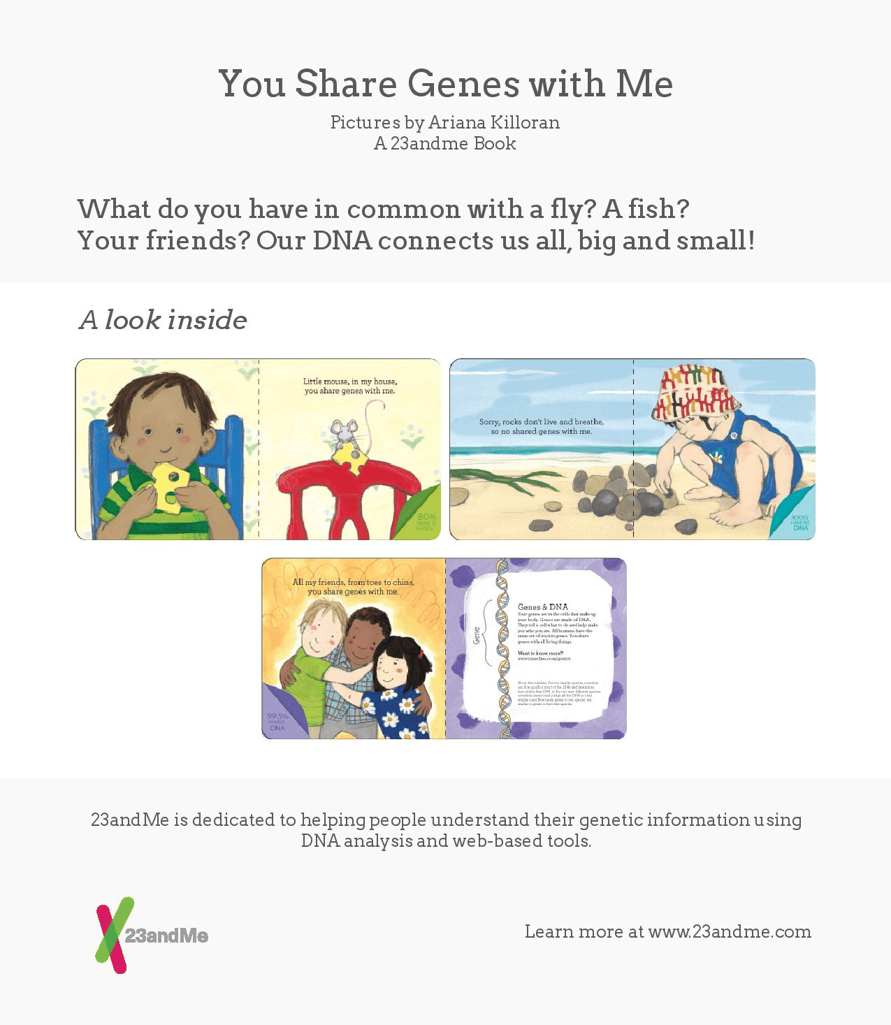The Basics of DNA