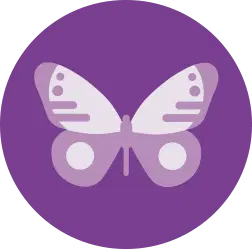 Cartoon image of a butterfly