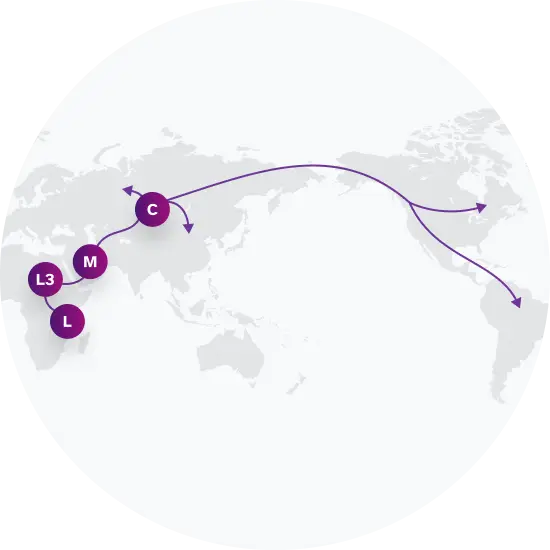 C1b2a Migration Map