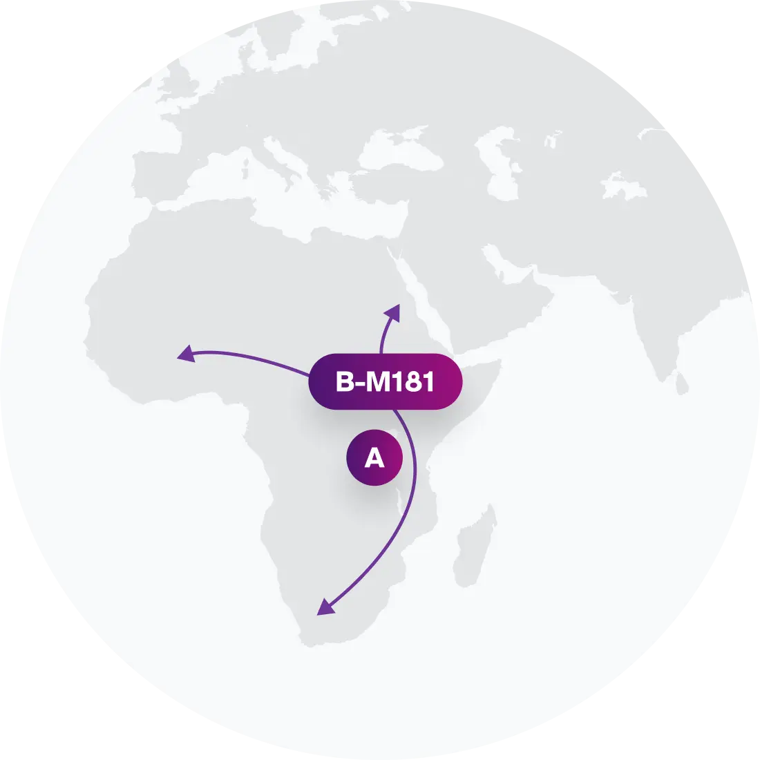 B-L1387 Migration Map