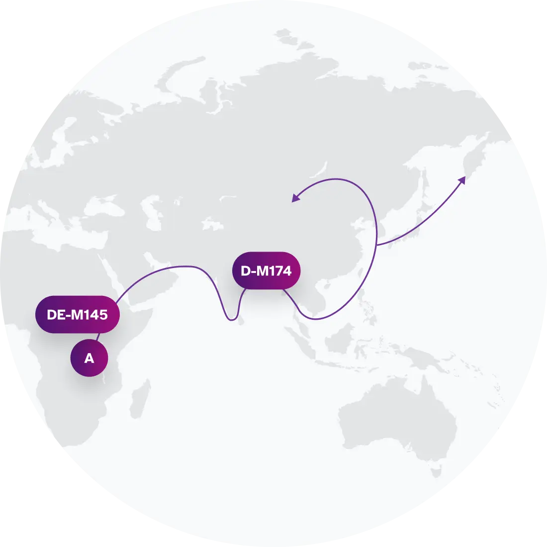 D-L1366 Migration Map