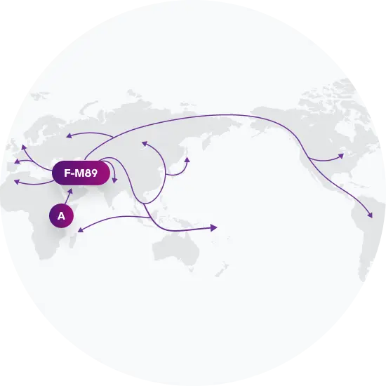 F-M89 Migration Map