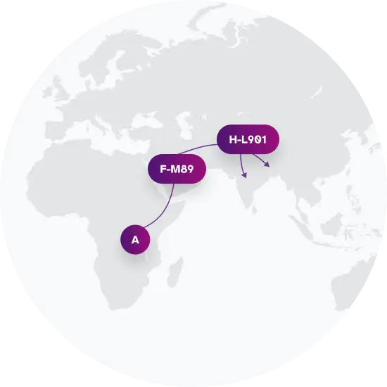 H-M2914 Migration Map