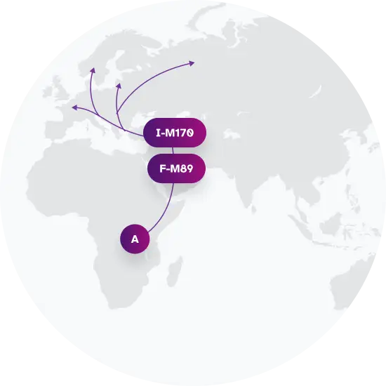 I-L1498 Migration Map