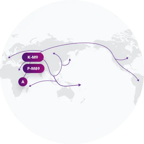 P-P295 Migration Map