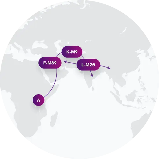 L-M27 Migration Map