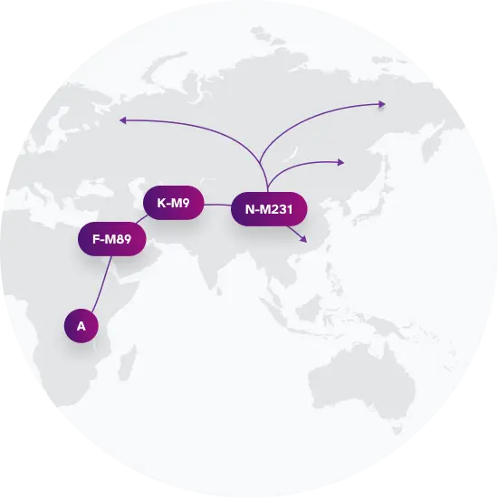 N-L708 Migration Map