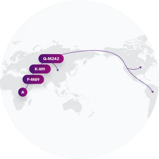 Q-M971 Migration Map
