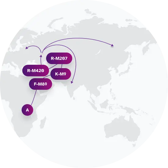 R-M512 Migration Map
