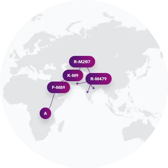R-L266 Migration Map