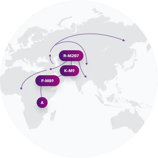 R-M207 Migration Map
