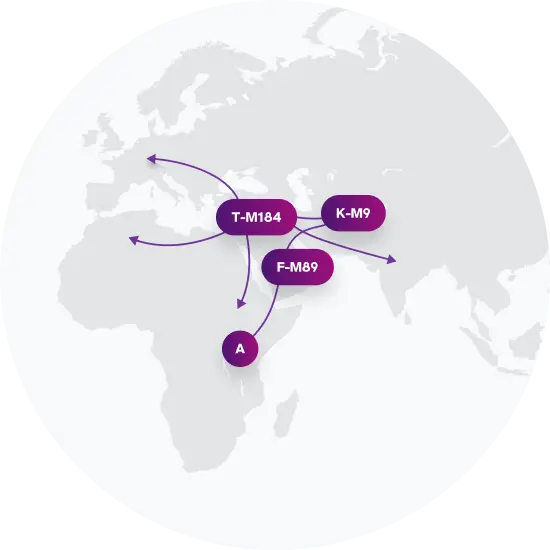 T-L208 Migration Map