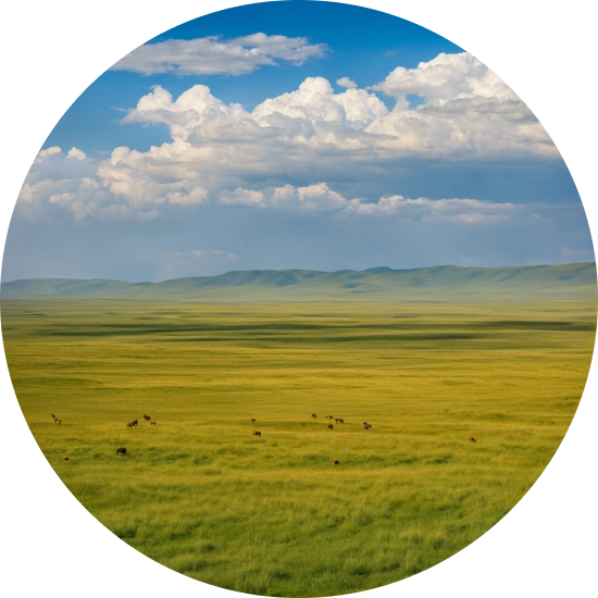 Grasslands of Kazakhstan