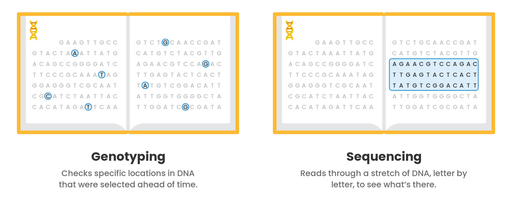 DNA book: genotyping and sequencing
