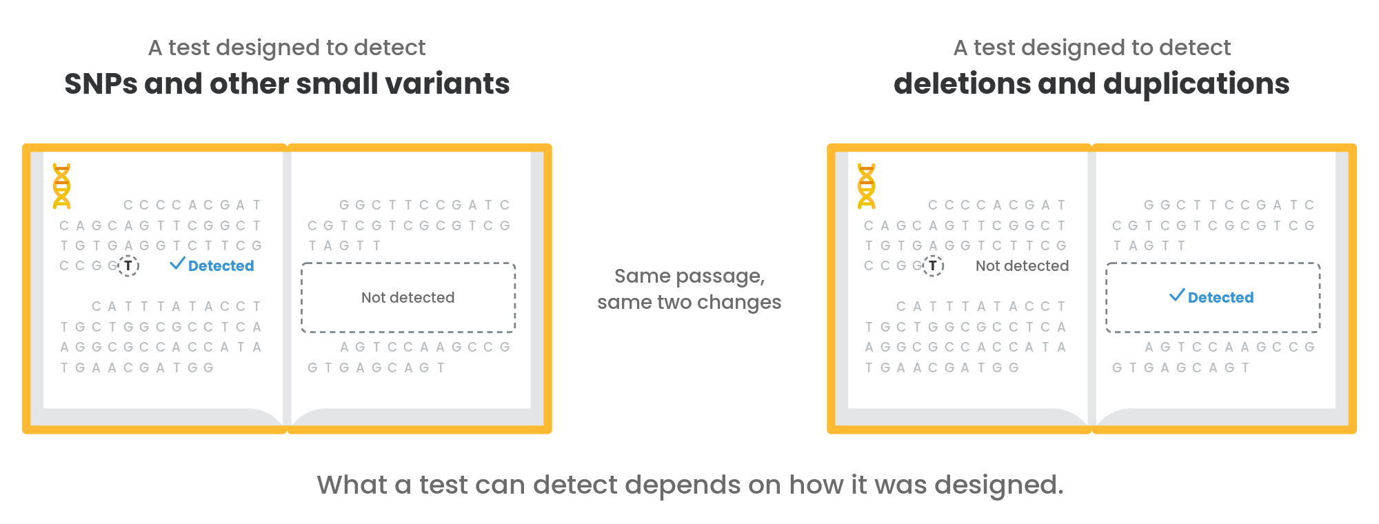 DNA book: types of change