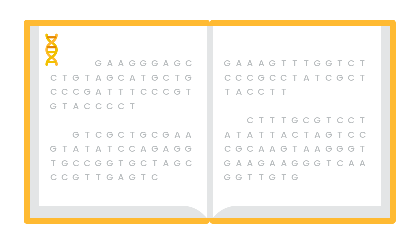 An open book whose pages are filled with the DNA letters A, C, G, and T, arranged in lines and paragraphs like text. Nothing is highlighted.