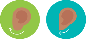 earlobe types: attached and detached