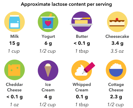 foods and lactose content