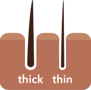 thick versus thin hair follicles