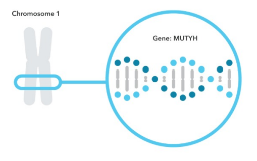 23andMe & Your Genetics