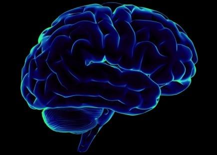 World Alzheimer’s Day