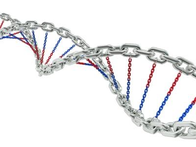 More Common Genetic Variants Associated with Risk of Pancreatic Cancer