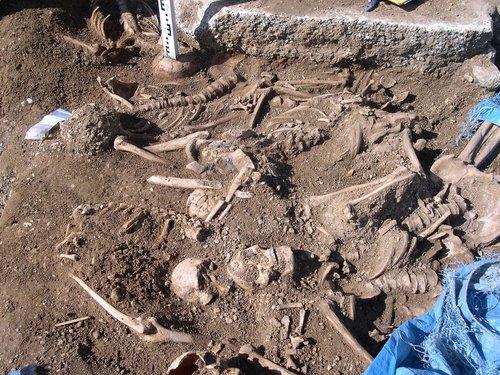 Are you related to Vikings killed in the St. Brice’s Day Massacre?