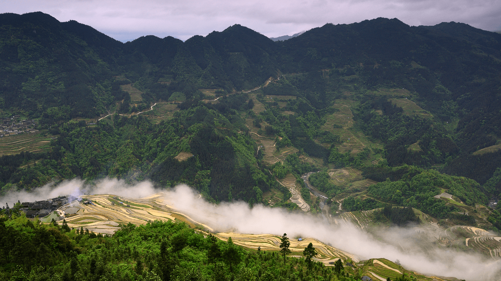 New Historical Matches Could Connect You to a 600 Year Old Mystery in Southwest China