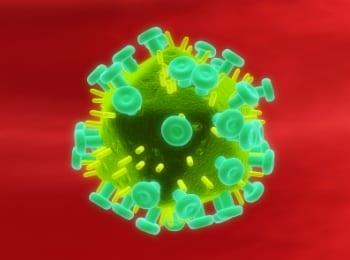 Bone Marrow Transplant May Have Eradicated Patient’s HIV