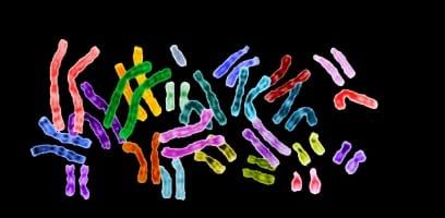 23andMe Becomes a Founding Partner For First and Only 24/7 All-News Audio Service Dedicated To The Black Community