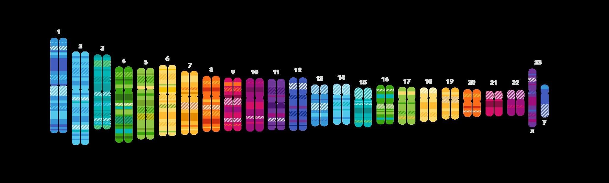 Same-Sex Sexual Behavior Partially Influenced by Genetics