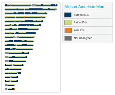 Ancestry Painting of African American Man