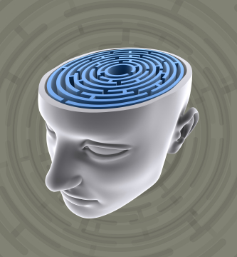 brainmaze