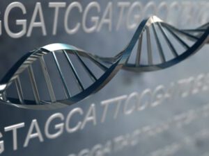 DNA Strand