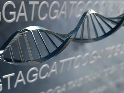 DNA Strand DNA Strand