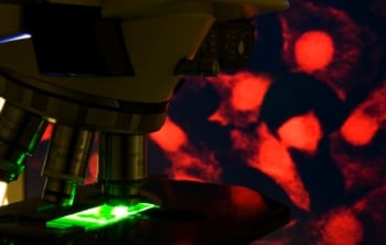 cancer_microscope