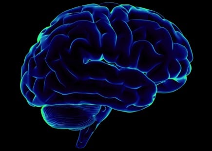 alzheimers