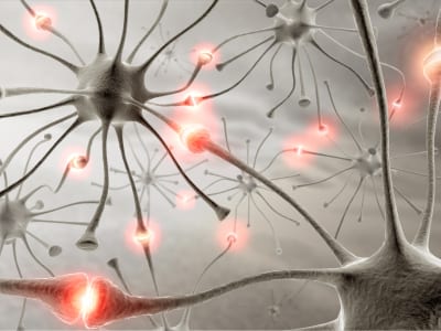istock_000004417726xsmall