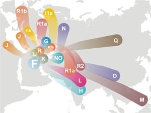 haplogroup_f_y-dna3