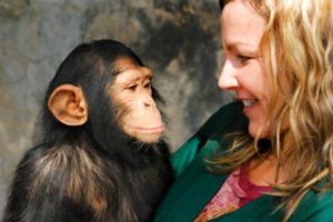 chimp