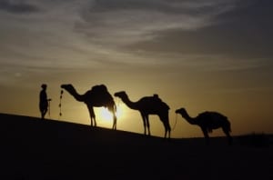 iStock_000009029824XSmall