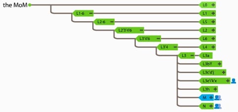 mtDNA tree