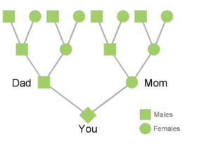family-tree-labeled