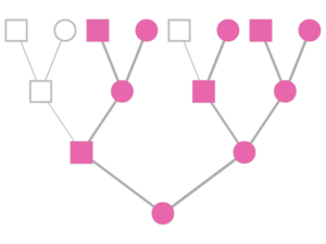 female_x