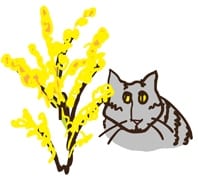 allergy