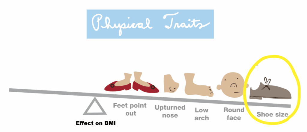BMI-physical