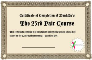 CertificateXY
