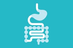 IBD IMage