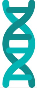 10192015_Icons_Set1_Working.ai