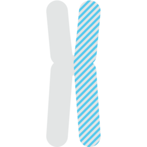 Chromosome